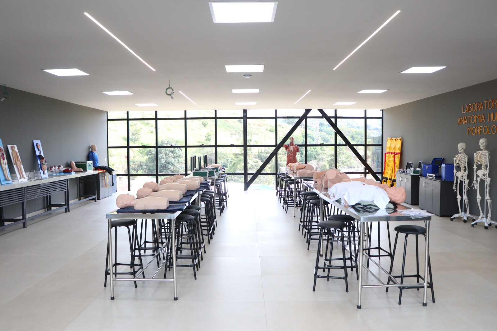 alfaunipac-laboratoria-anatomia2
