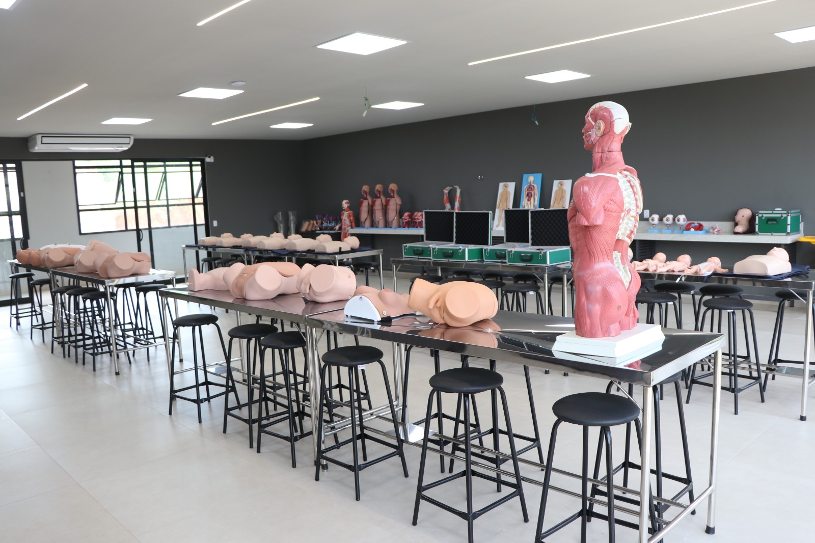alfaunipac-laboratoria-anatomia3